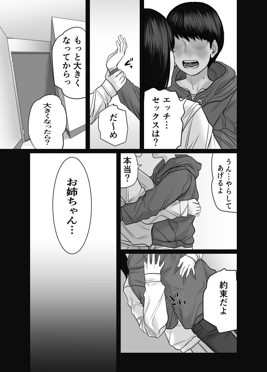 家の中で立ちんぼする姉とそれを買う弟 サンプル画像1