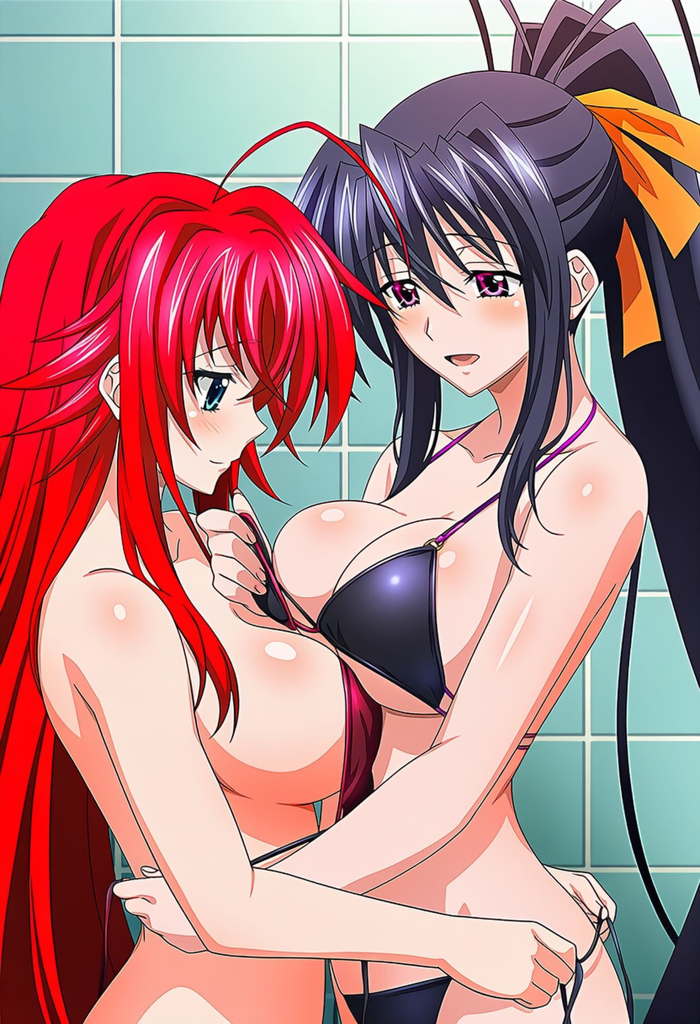 DxD_001 ハイスク〇ル DxD リ〇スと朱〇のやるだけCG集 vol.001 サンプル画像2