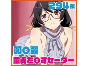 羽〇翼 童貞を〇すセーター 294枚