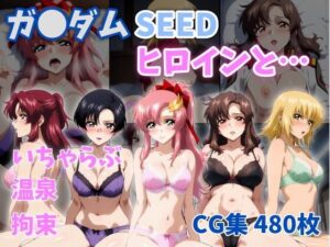 ガ●ダムSEEDヒロインと…