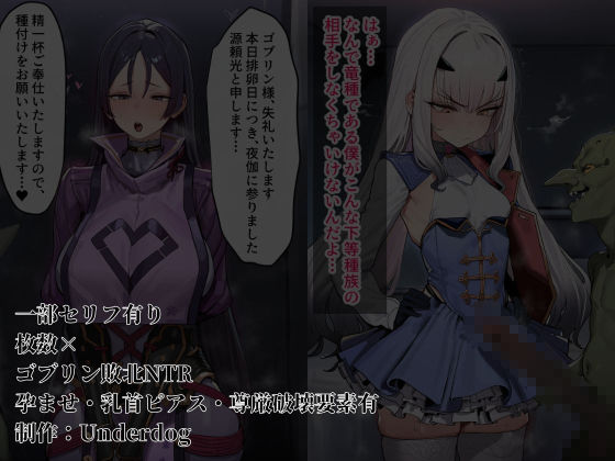 ゴブリンに堕ちたカルデア サンプル画像4