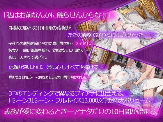 ツンデレ姫と夜伽の10日間 〜異世界で子作り命じられました〜 サンプル画像1