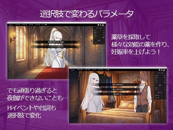 ツンデレ姫と夜伽の10日間 〜異世界で子作り命じられました〜 サンプル画像4