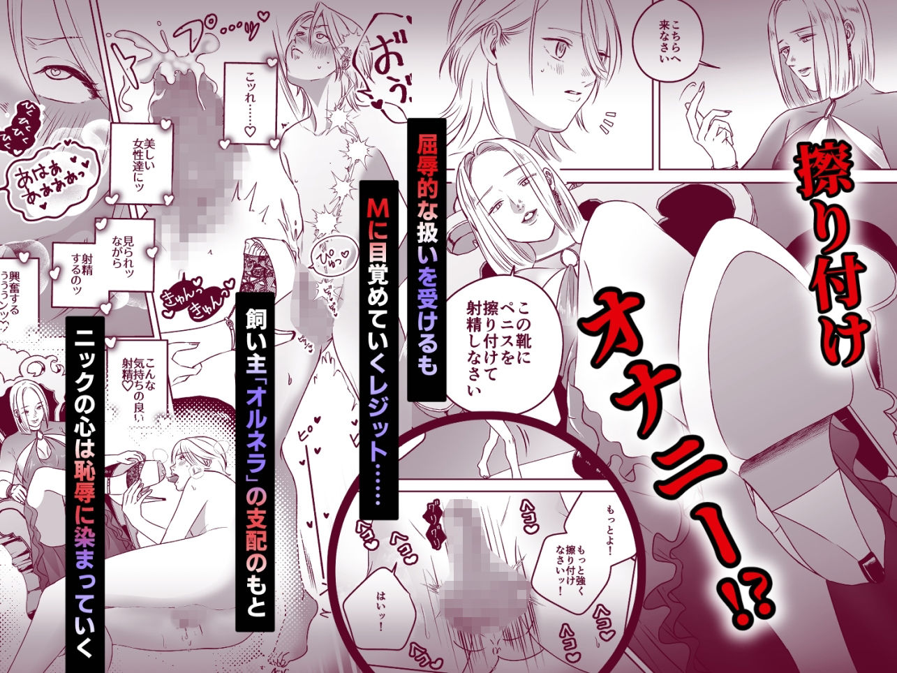 ハイガーデン  ローライフ サンプル画像3