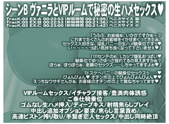 ハイローラーを超える強運メガウェールは爆乳おっぱいの逆バニーが御好き 生意気メスウサギとの生ハメSEXに我慢できずに中出しフルBET サンプル画像6