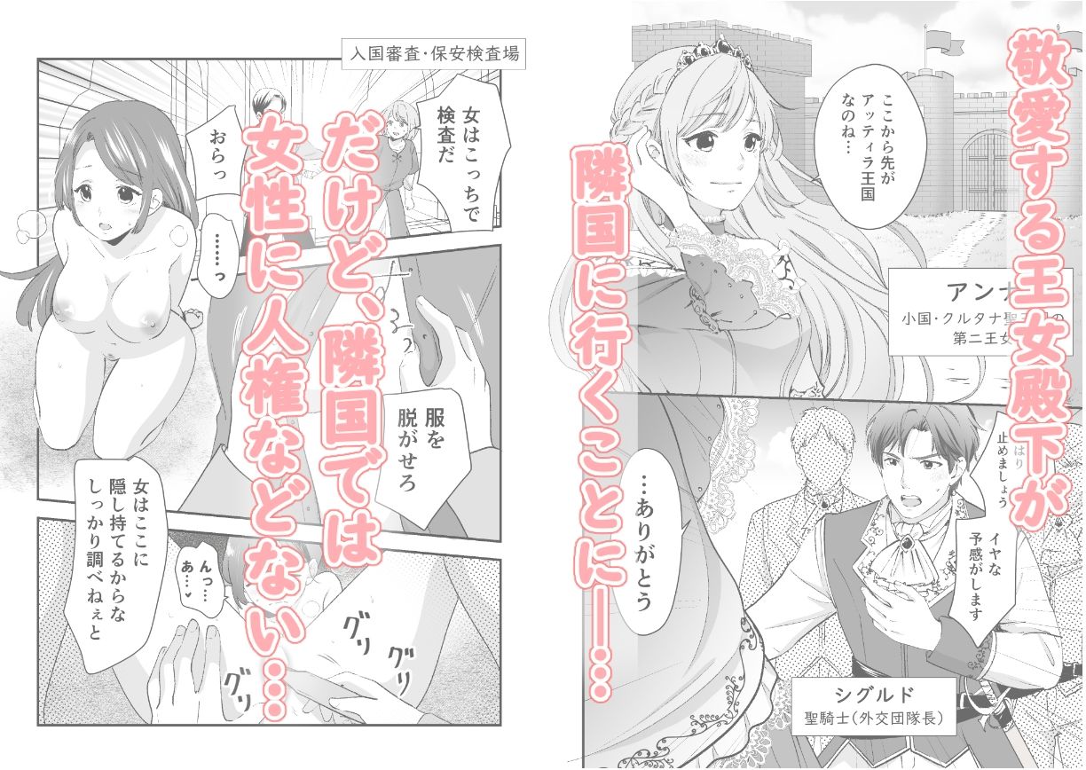 人権がなくなった王女殿下  〜入国審査編〜 サンプル画像1