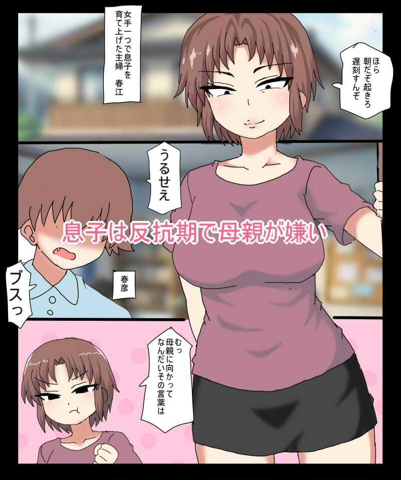 反抗期の息子が 働いてる熟女壁穴ヘルスにきちゃったので バレないように息子チンポを抜 サンプル画像1