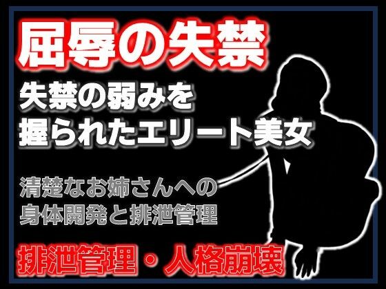 密室の聖女失禁:エレベーターに閉じ込められた清楚な年上美女をペットボトル排尿で屈服させた夜 サンプル画像1