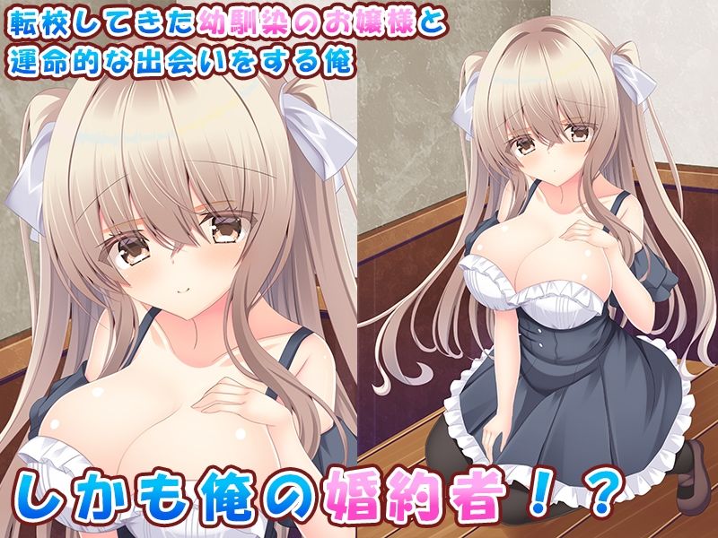 幼馴染のお嬢様とメイドとの甘々同棲生活はじめました♪〜女の子だらけのお屋敷で幸せな中出しライフ♪〜 サンプル画像1