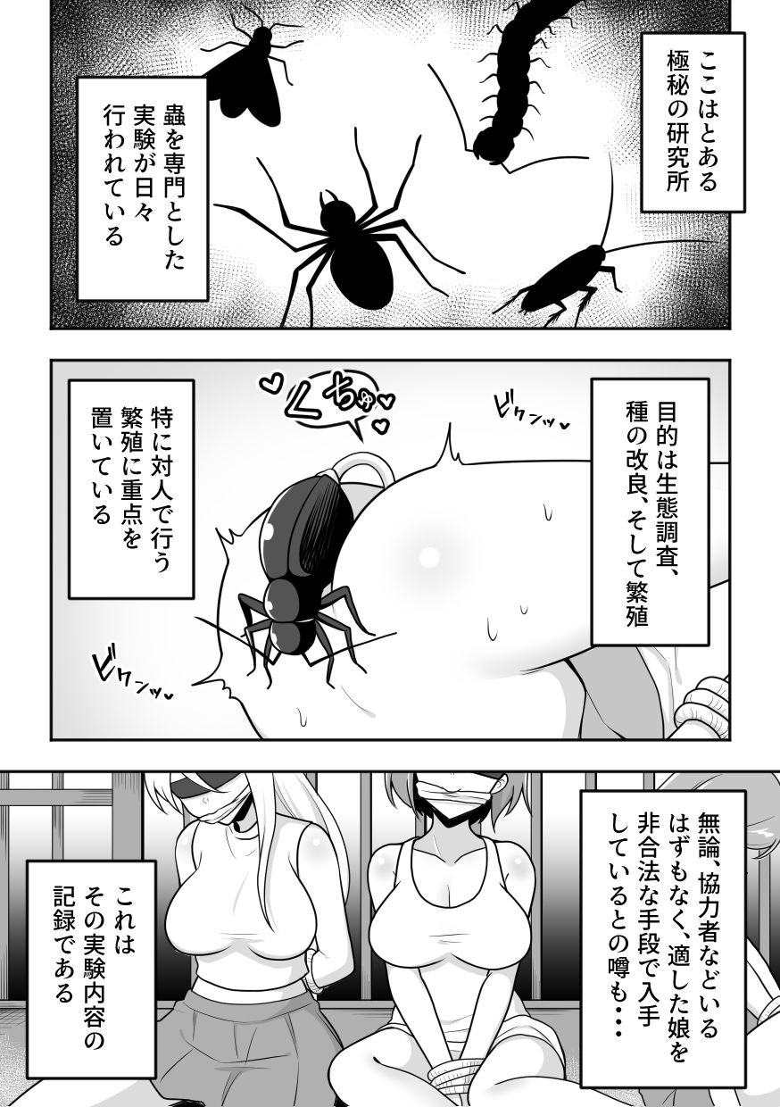 昆蟲研究所5 サンプル画像1