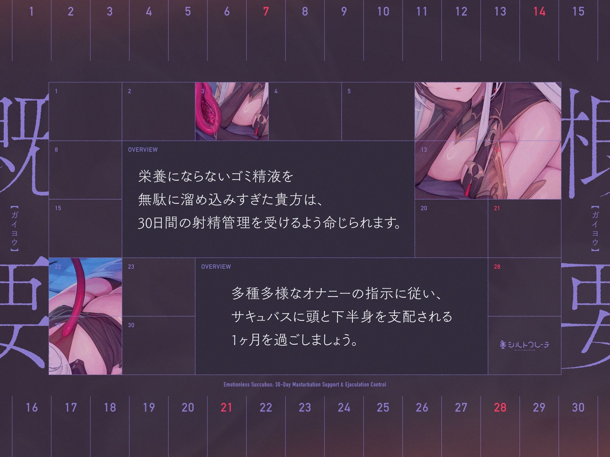 無感情サキュバスの30日オナサポ射精管理 サンプル画像1