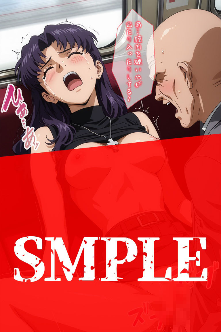 痴〇電車に堕ちたミサト サンプル画像8