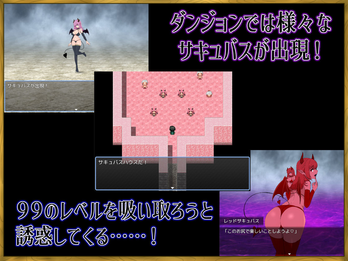 LV99チート勇者の俺がサキュバスなんかに敗けるわけない サンプル画像2