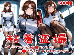 【500枚】粘着盗撮Vol.13「こんな綺麗な人がウ●コなんてするはずがない」