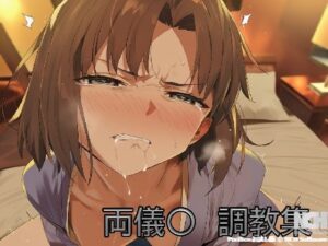 両儀式調教集