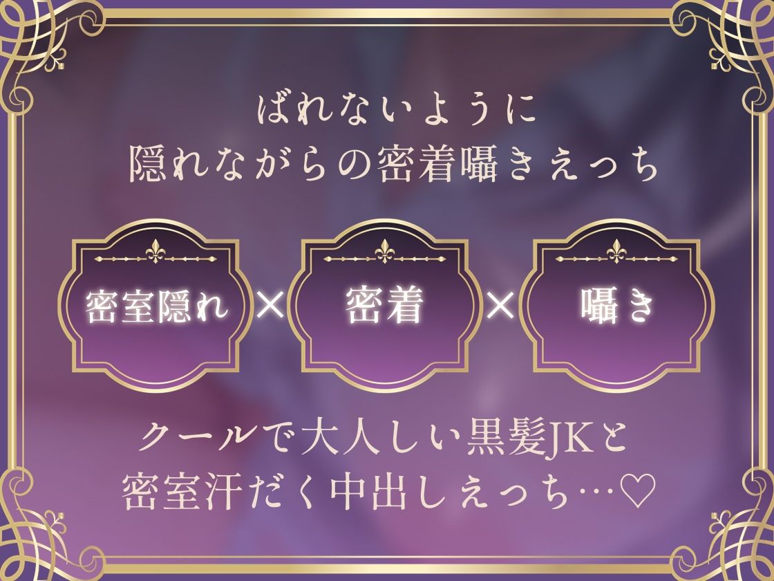 【密着囁き】バレるな。〜隠れながら黒髪クールJKと夏の汗だく密着耳元無言セックス〜 サンプル画像3