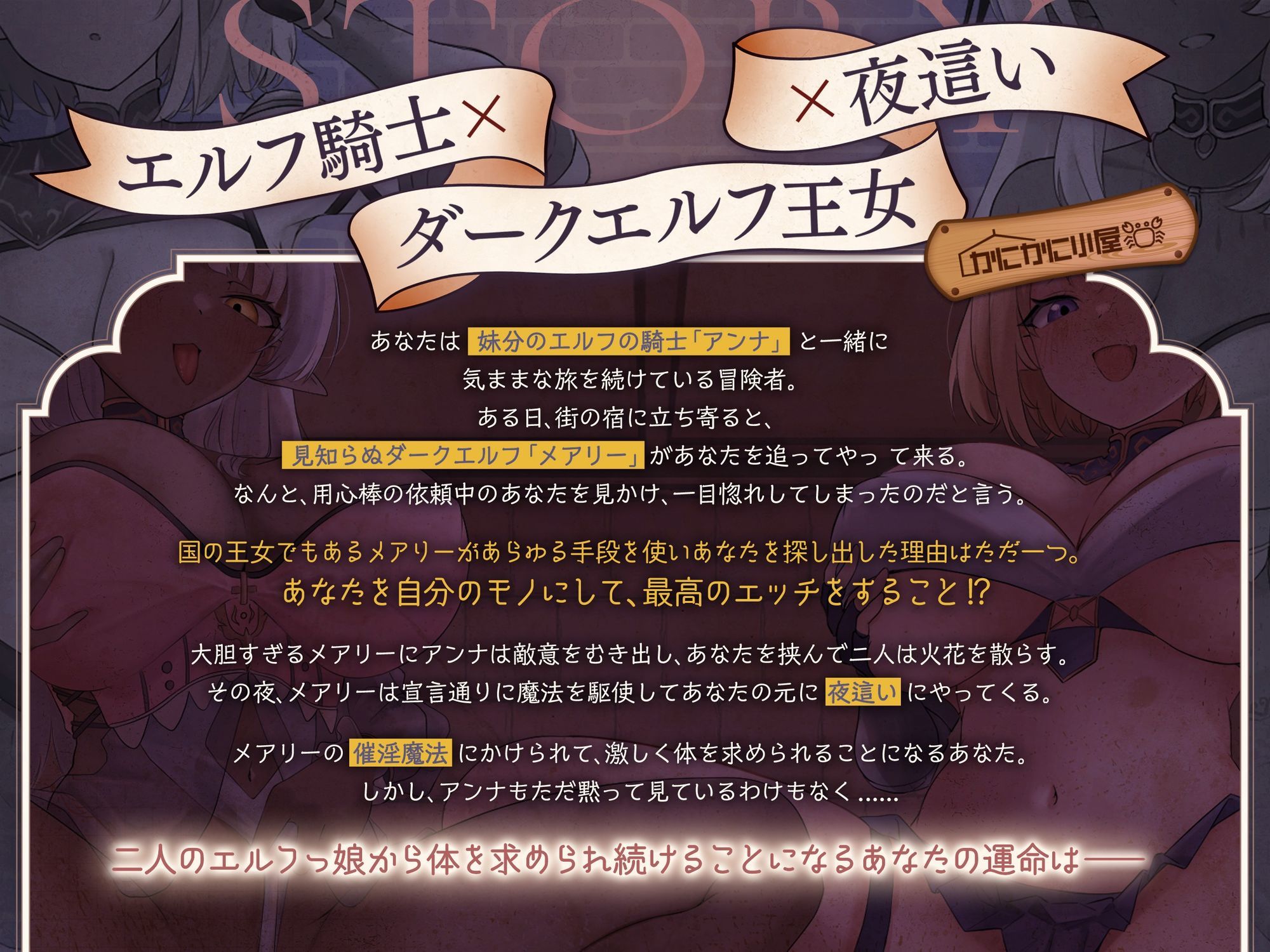 ゆうべもおたのしみでしたね〜スケベ度S級冒険者ダークエルフ王女×妹エルフ騎士〜 サンプル画像1