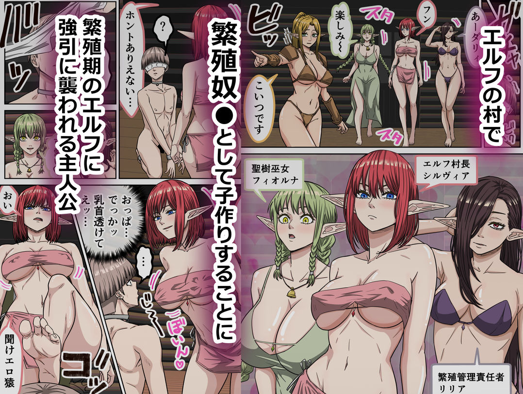 エルフ村で繁殖奴●になりました サンプル画像2