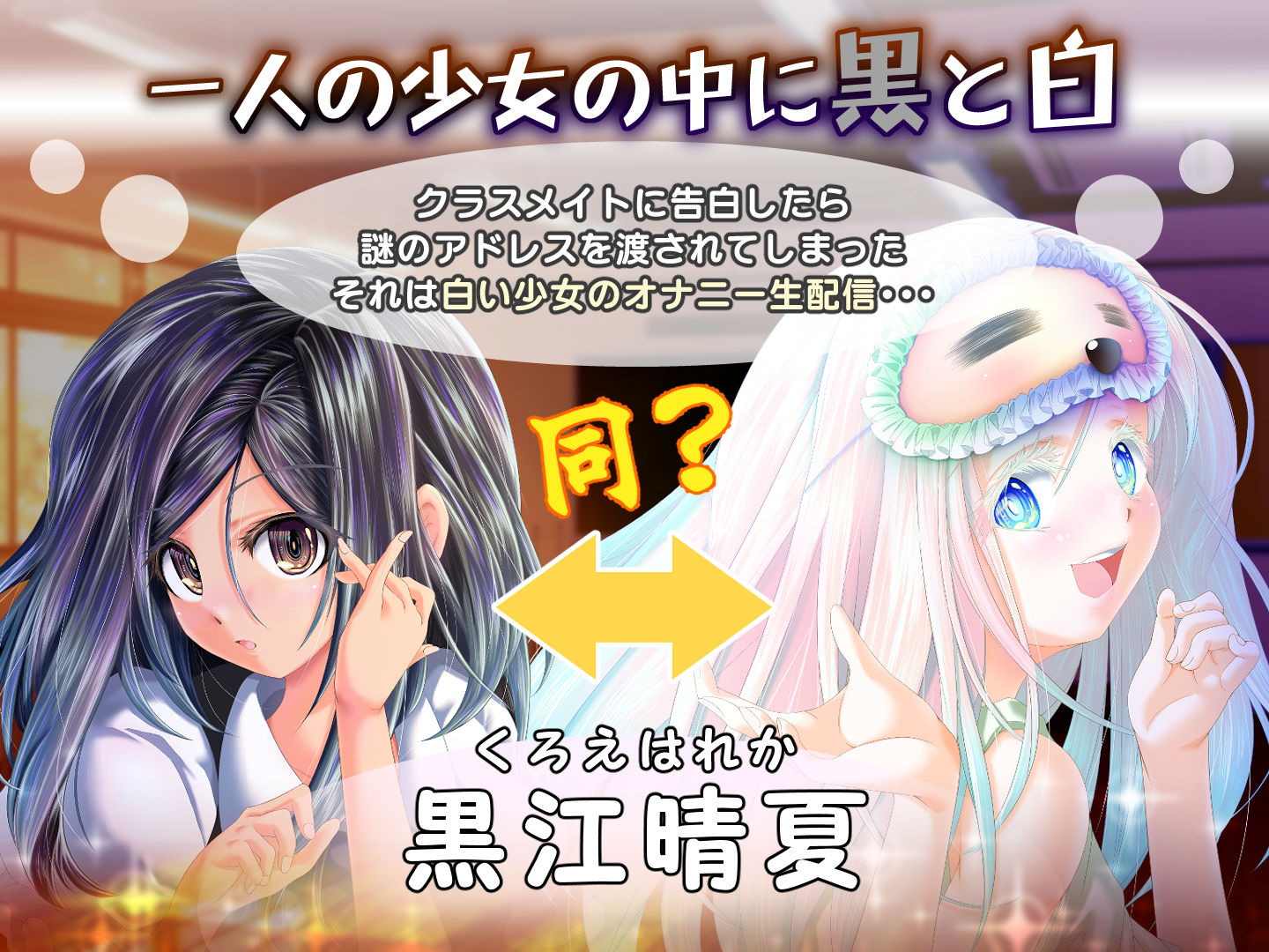夕暮れまぐれの黒と白 サンプル画像1