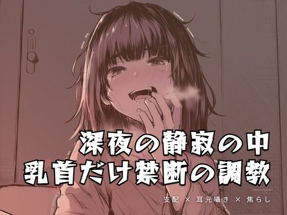深夜の静寂の中、乳首だけを嬲る禁断の調教 サンプル画像1
