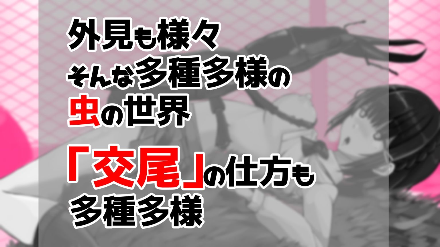 虫交尾図鑑 サンプル画像1