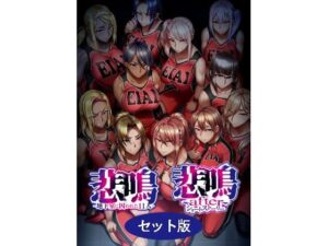 悲鳴 〜after〜 ショートストーリー セット版