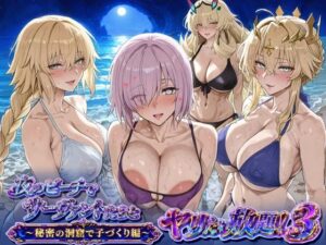 夜のビーチでサーヴァントとヤリたい放題！3 〜秘密の洞窟で子づくり編〜