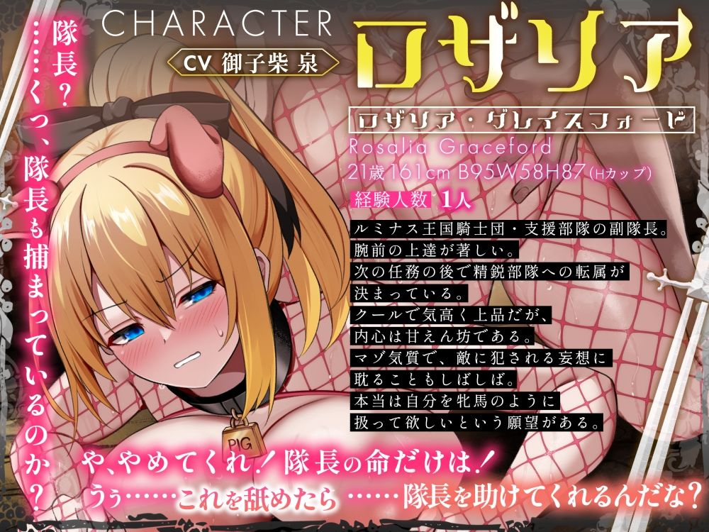 【ドスケベメスブタ】精鋭女騎士はチンカス汚チンポなどに屈しない！【NTR】 サンプル画像1