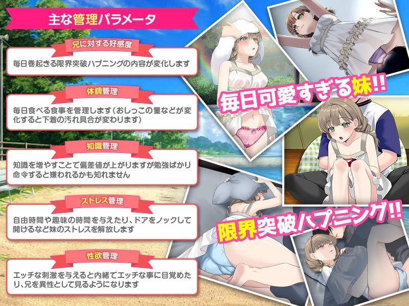 いもしむ  お兄ちゃん監修！妹育成シミュレーター サンプル画像3