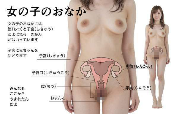 わたしたちのからだ〜こどもができるしくみ〜【実写風AIリメイク】 サンプル画像5