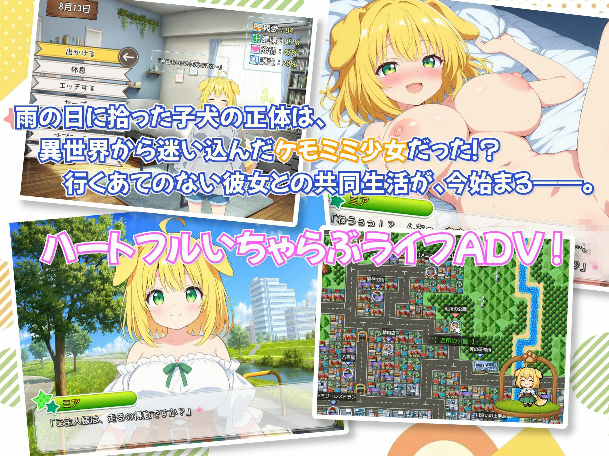 ケモミミの女の子、拾いました！ サンプル画像1