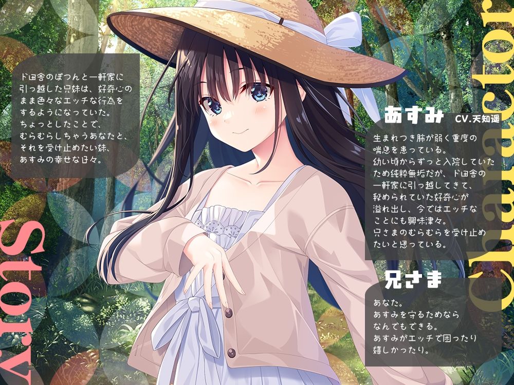 兄さまのむらむらした気持ちを全部受け止めたい妹 サンプル画像2