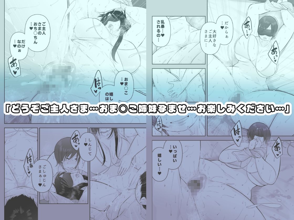 妻と義妹、孕ませ希望。 サンプル画像4