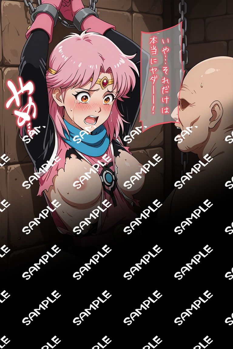 投獄された僧侶戦士 囚われたマァム サンプル画像9