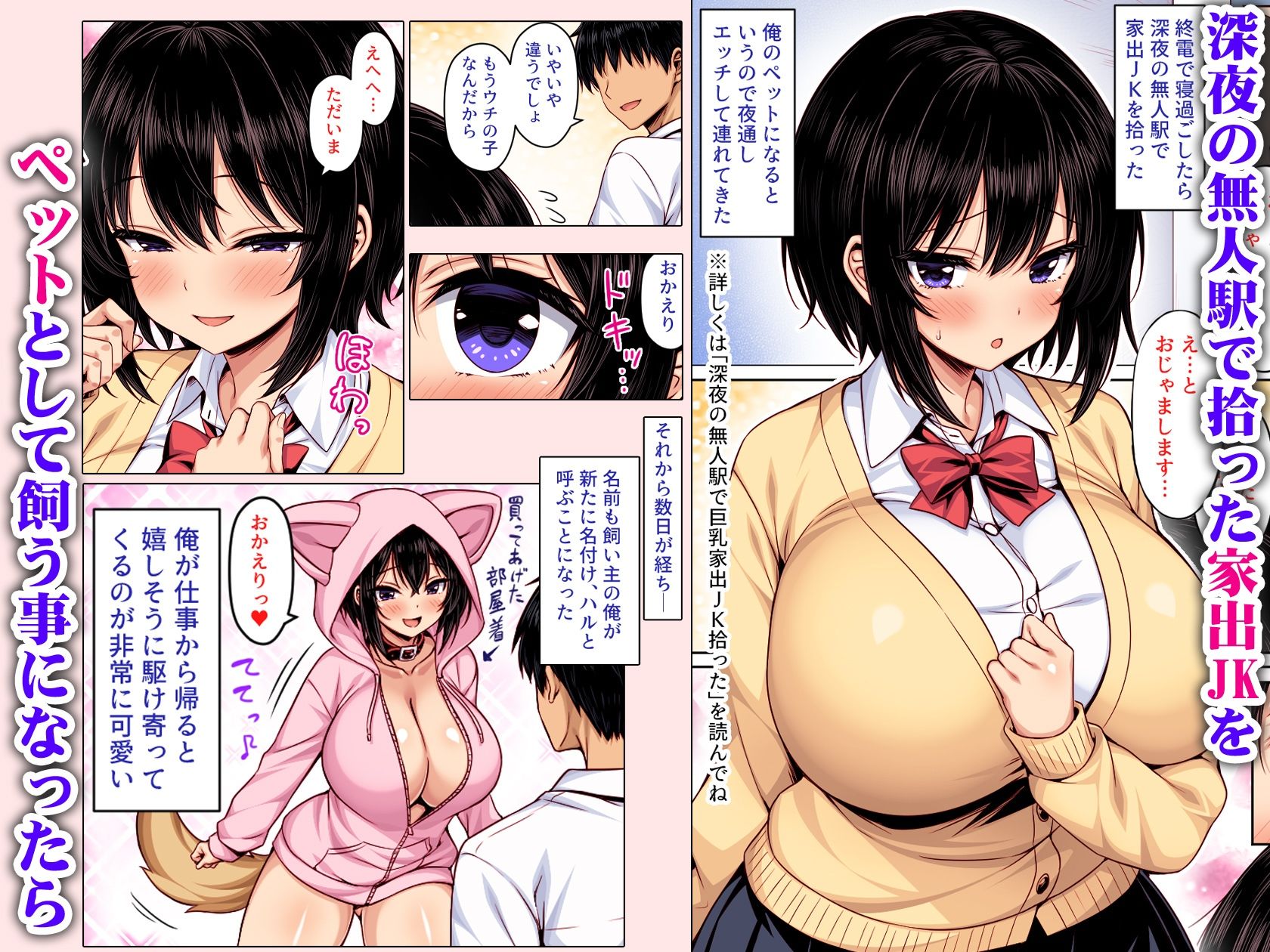 深夜の無人駅で拾った巨乳家出JKの飼い主の日常  カラー版 サンプル画像1