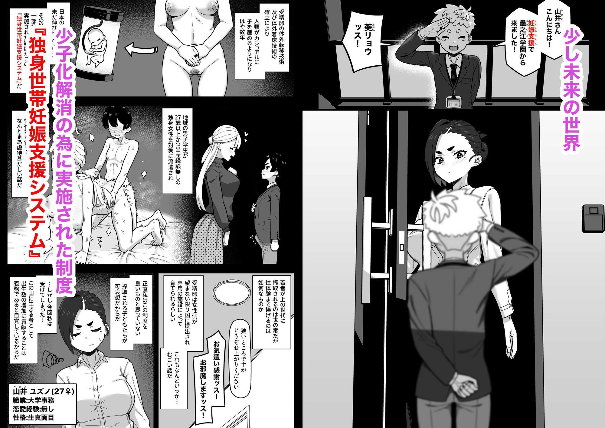 独身世帯妊娠支援システム サンプル画像1