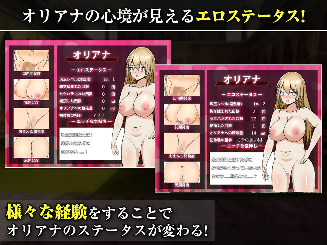 王国の勇騎士オリアナ サンプル画像5