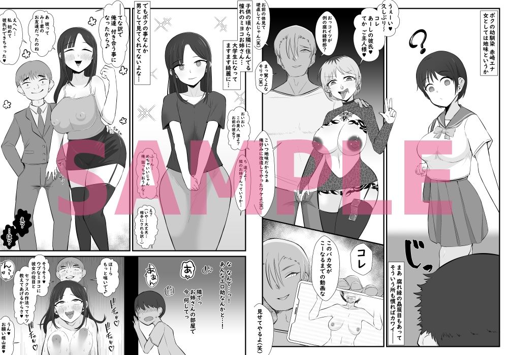 【BSS】ボクは相手にされないヤリマン図鑑 サンプル画像3