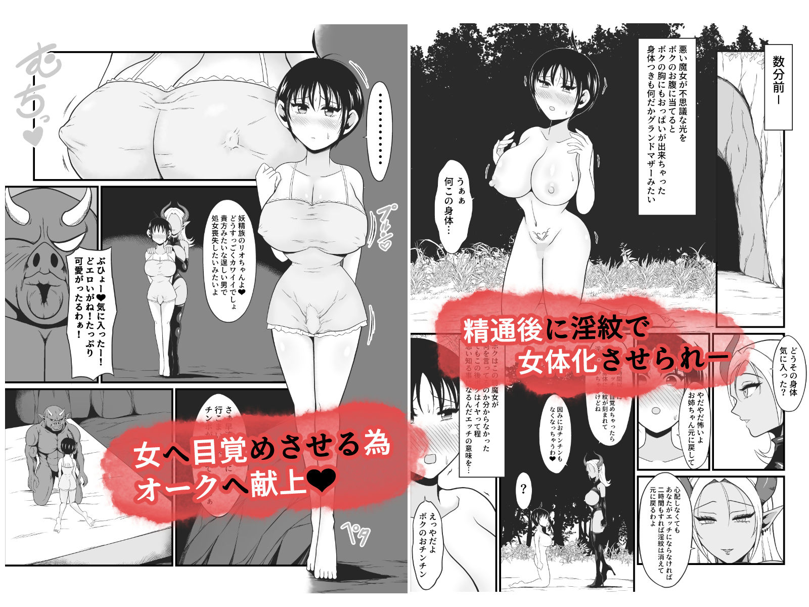 【TS悪堕ち】妖精のボクがオークのデカマラチンポに敗けてエッチな淫魔娘になっちゃうお話 サンプル画像4