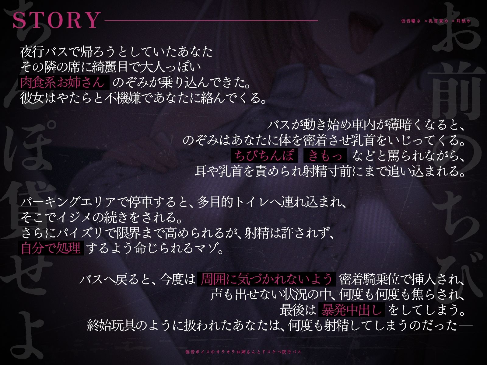 【低音囁き×乳首責め×耳舐め】「おい、お前のちびちんぽ貸せよ」低音ボイスのオラオラお姉さんとドスケベ夜行バス【CV沢野ぽぷら】 サンプル画像2