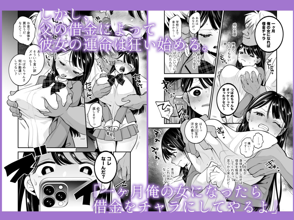 つばめちゃん墜落日記  〜一ヶ月奴●契約〜 サンプル画像2