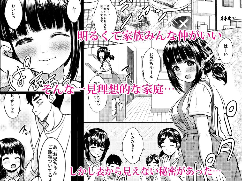 兄妹が終わる時  〜可愛く成長した妹に壊れた兄が手を出すまで〜 サンプル画像1