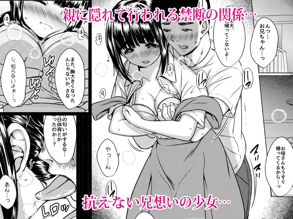 兄妹が終わる時  〜可愛く成長した妹に壊れた兄が手を出すまで〜 サンプル画像2