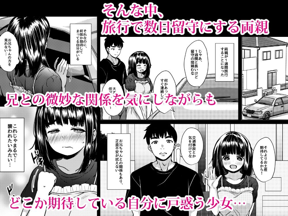 兄妹が終わる時  〜可愛く成長した妹に壊れた兄が手を出すまで〜 サンプル画像4