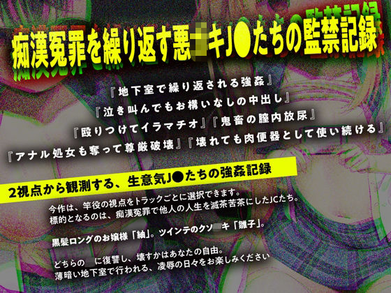 痴●冤罪○○2人組を制裁する【ダブルヘッドフォーリー】 サンプル画像1