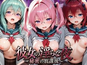 彼女の淫らな夜 〜秘密の放課後〜 T〇LOVEる 3