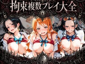 拘束複数プレイ大全 〜好き放題され放題セット〜 ワ〇ピース