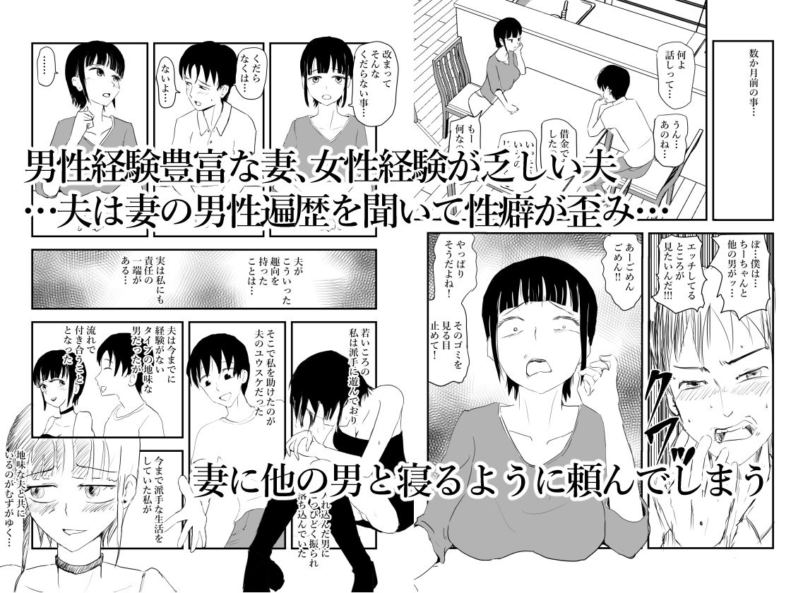 ネトラセ温泉旅行 サンプル画像1