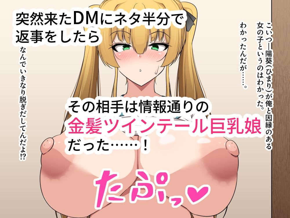 俺のことが好きらしい金髪ツインテール娘を孕ませてボテ腹にするお話。 サンプル画像1