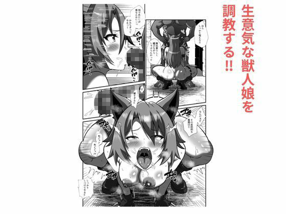 勝てば犯し放題！異世界で無双してハメまくる サンプル画像2